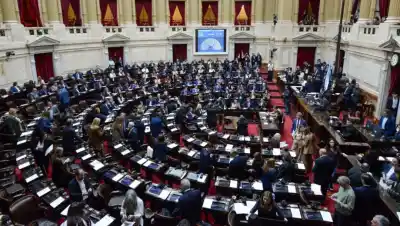 La nueva ley de Discapacidad pasó con un detalle que casi nadie votó en contra: así se movieron los diputados patagónicos