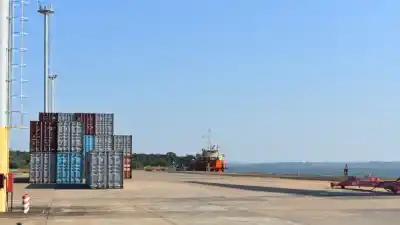 Misiones exportó US$ 418 millones y dejó atrás a todas las provincias del NEA