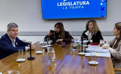 Niñez se plantó en la comisión por el bebé de Rancul: «Nos trataron distinto»