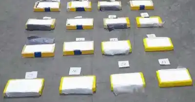 La banana que viajaba a Mendoza escondía 64 kilos de cocaína: quiénes van a juicio
