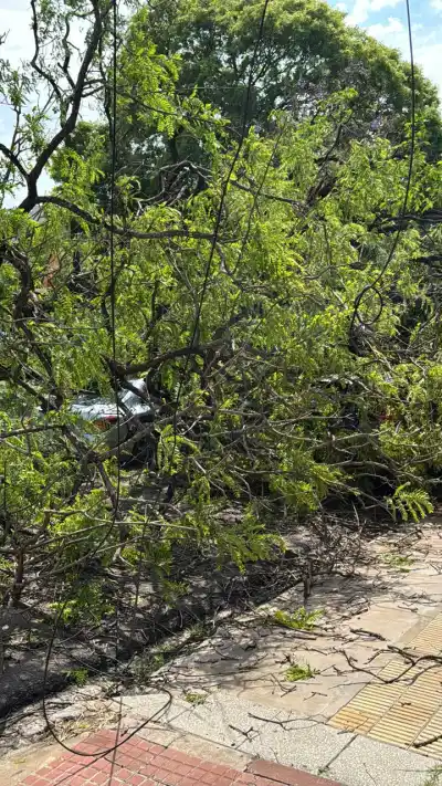 Cayó de raíz una tipa sobre un auto en el Cambá Cuá: adentro había una estudiante