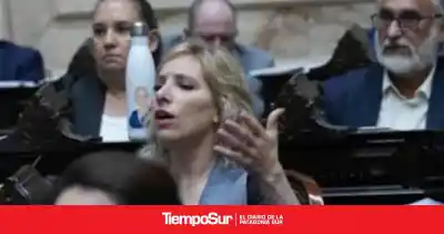 Diputados aprobó la ley de discapacidad, pero Lanesan apuntó contra el Gobierno por lo que pasó con el endeudamiento familiar