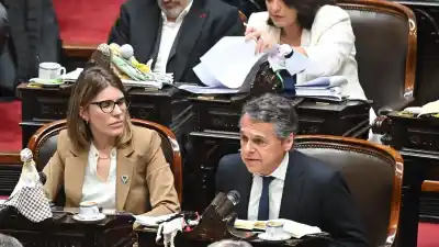 El proyecto que Giuliano quiere desempolvar y que 113 diputados frenaron en plena crecida