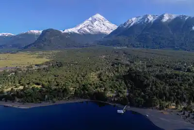 Sembraron 40 hectáreas con drones en Neuquén: la apuesta que puede cambiar el futuro del bosque patagónico