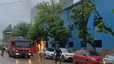 Retiraban un árbol en el centro de Cipolletti y terminaron con un edificio en llamas