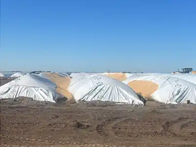 La ley no llegaba hasta el campo: el día que Diputados cambió la regla para el vandalismo rural