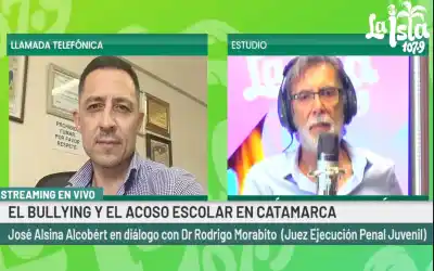 El bullying no es delito, pero la Justicia ya aplica penas de hasta 10 años por sus consecuencias