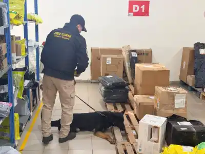 Enviaron dos caramelos por paquetería a Comodoro y los perros antinarcóticos no dudaron