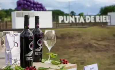 Telén cumple 125 años y estrena un vino propio: cómo será el festejo