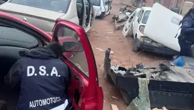 Recorrieron tres predios del mismo dueño: adentro había 100 autos y cinco con pedido de captura