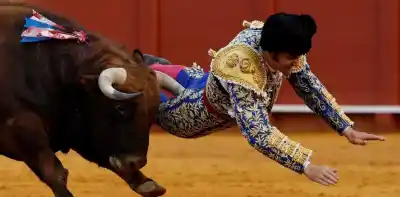 El toro lo buscó con saña: la cornada que dejó a un famoso torero en estado crítico