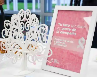 En la peatonal de Formosa explicaron cómo hacer el autoexamen mamario: qué ofrecen gratis
