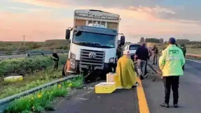 Iba a cargar pollos a Federación, esquivó un ciervo y terminó internado