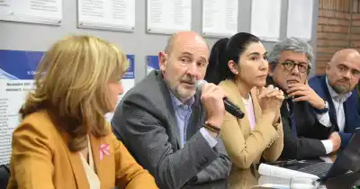 Mendoza pone $168.000 millones sobre la mesa: a dónde irá la mayor parte