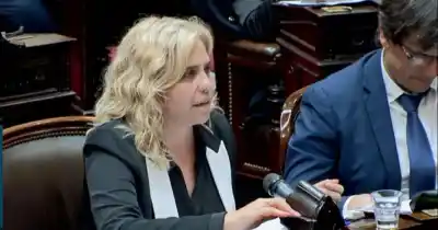 Picón reveló qué se esconde detrás de la vuelta a comisión de Endeudamiento Familiar