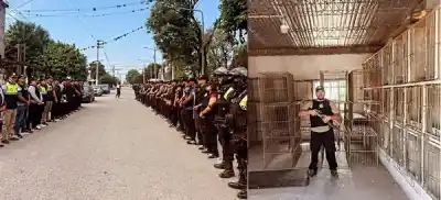 Allanaron tres domicilios por riñas de gallos: adentro había 43 jaulas y un dato que complica a los dueños