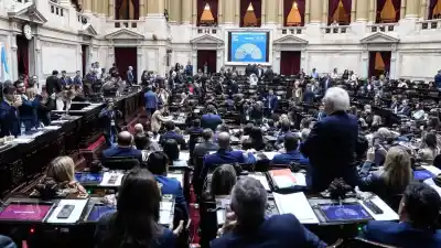 Lo que cambia para miles de personas con discapacidad: Diputados aprobó la ley y ahora define el Senado