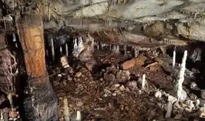El derrumbe que tapó una cueva hace 16.800 años dejó 4.614 objetos intactos adentro
