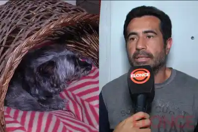 Se perdió durante un paseo en el Patito Sirirí y la encontraron en un caño: qué escuchó una amiga a la madrugada