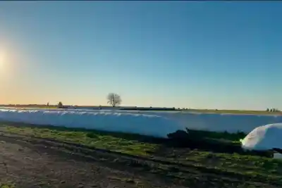 El error que casi todos cometen al armar silobolsas y que la lluvia puede arruinar