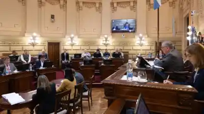 Santa Fe blindó por unanimidad la nueva ley contra la violencia de género: qué cambia para las víctimas