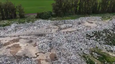 La ciudad que huele a mar de un lado y a basural del otro: el fallo que el municipio nunca cumplió