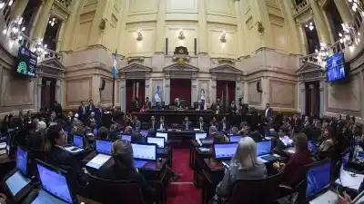 Salud Mental: LLA ya tiene los votos, pero un bloque le puso una condición