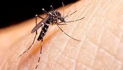 Un brote viral se expande en el país: las cifras que mantienen en alerta a las autoridades sanitarias
