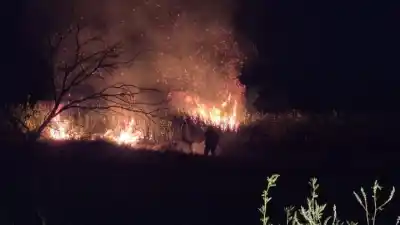 Un incendio consumió dos hectáreas en la ruta 90 y la policía dio con el responsable