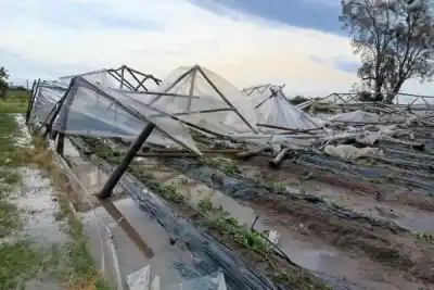 Lavalle amaneció con los tendaleros en el piso: 10 minutos de granizo bastaron