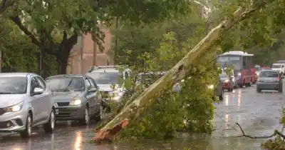 La lluvia complicó a Mendoza: un puente se cayó y una casa terminó en llamas