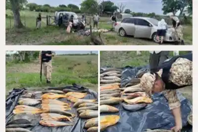 Una camioneta en la banquina y 44 pescados adentro: lo que la Prefectura no esperaba encontrar