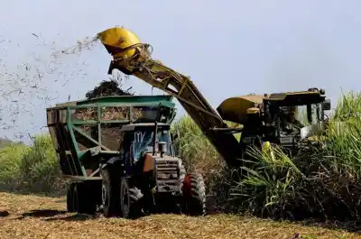 La zafra tucumana avanza, pero los caminos rurales juegan una mala pasada