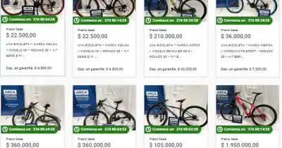 51 bicicletas desde $1.908: lo que hay que saber antes de pujar en la subasta de ARCA