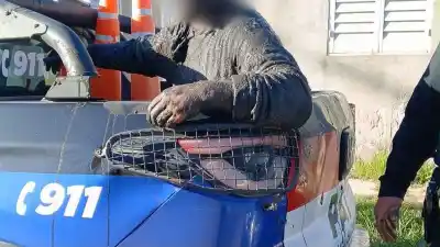 257 detenidos por robar cables y metales: el dato que revela quiénes vuelven una y otra vez