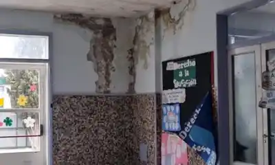 La Escuela 20 de Rawson no para las clases: arrancó la obra que destapó el techo