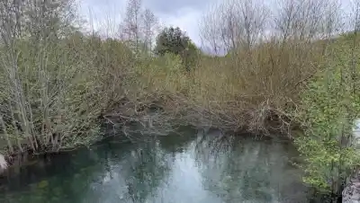 El arroyo Gutiérrez duplicó su caudal y hay casas bajo el agua en Bariloche
