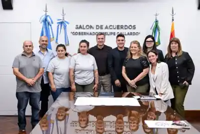 Le dieron un predio de 20 por 50 a la fundación 4 Patitas y lo que harán ahí adentro conmueve