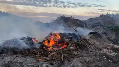 Entre Ríos fue al basural de Pronunciamiento y encontró cuatro fuegos encendidos y algo más
