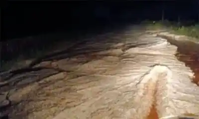 Campo Viera: el hielo que quedó en las chacras anticipa un problema para la próxima cosecha