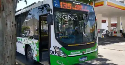 Rosario incorpora una flota de colectivos que cambiará por completo el transporte urbano: ¿qué tienen de especial?
