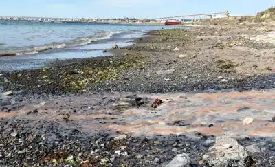 El juicio por lo que salía de la planta de Conarpesa ya tiene fecha: qué encontraron en el mar