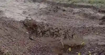 El arroyo se los llevó medio kilómetro, pero no contaban con lo que pasó después