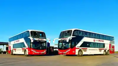Vecinos de la Región Sur llevaban años reclamando: la Provincia consiguió que los colectivos vuelvan a pasar