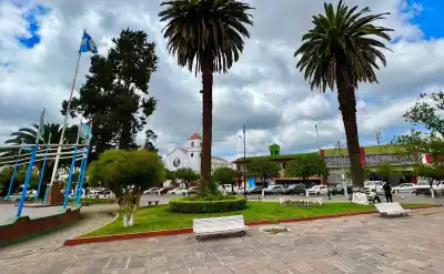 Perico: venden por TikTok porque en el local "no vendemos"
