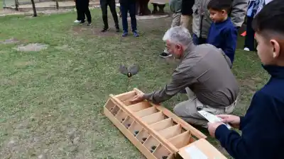 Rescataron 14 aves del tráfico ilegal en San Juan: adónde terminaron