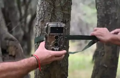 Instalaron dispositivos de vigilancia en un parque provincial y lo que captarán cambiará todo