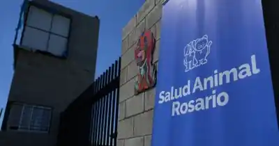 Abrieron un hospital público para mascotas y lo que ofrecen dejó sin palabras a los dueños