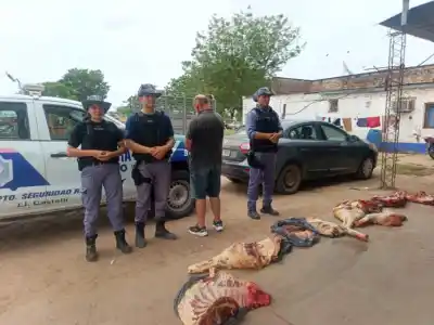 Llevaba 200 kilos de carne en el auto y no pudo explicar de dónde salieron