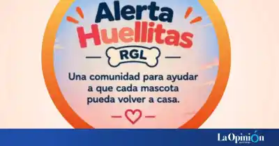 Un vecino de Río Gallegos creó una app para mascotas perdidas: ya la usan más de 250 personas